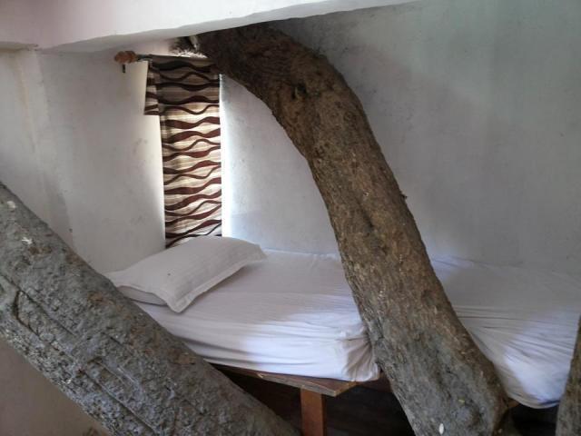 Junglee Resort Rajaji National Park Rishīkesh Rom bilde