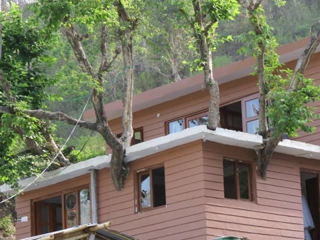 Junglee Resort Rajaji National Park Rishīkesh Rom bilde